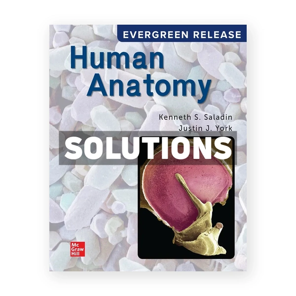 Human Anatomy 2024 Release 1st edition Saladin Solutions Manual
